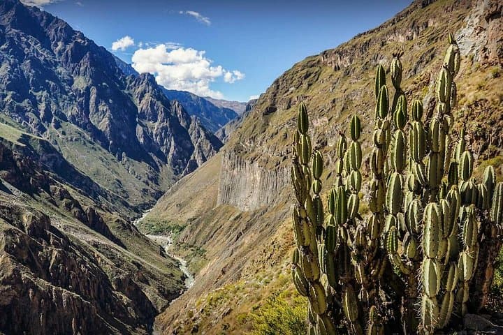 2-Day Colca Canyon Trek from Arequipa: Sangalle Oasis & Cruz del Condor photo 4