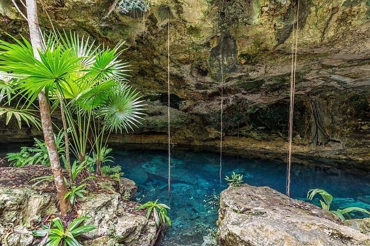 Spider Monkeys, Coba Ruins & Tamcach-Ha Cenote: Jungle Hike and Snorkel photo 1
