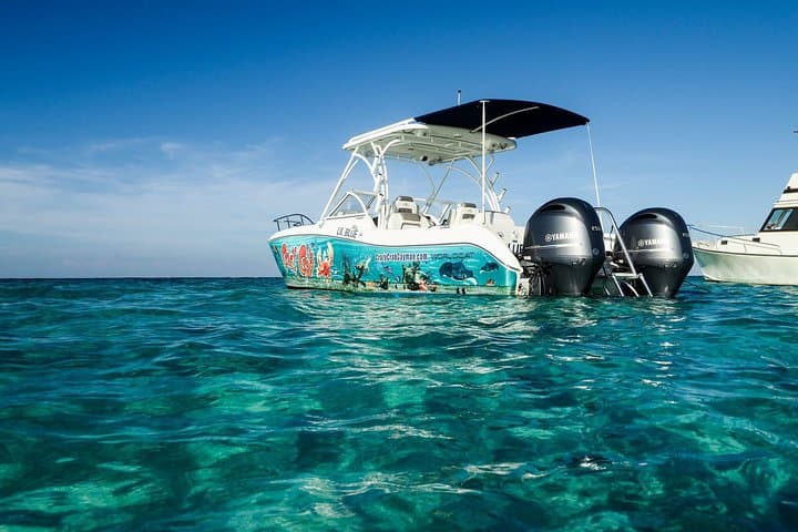 Private Stingray City Snorkel Charter — Camana Bay to Starfish Point (Half Day) photo 6