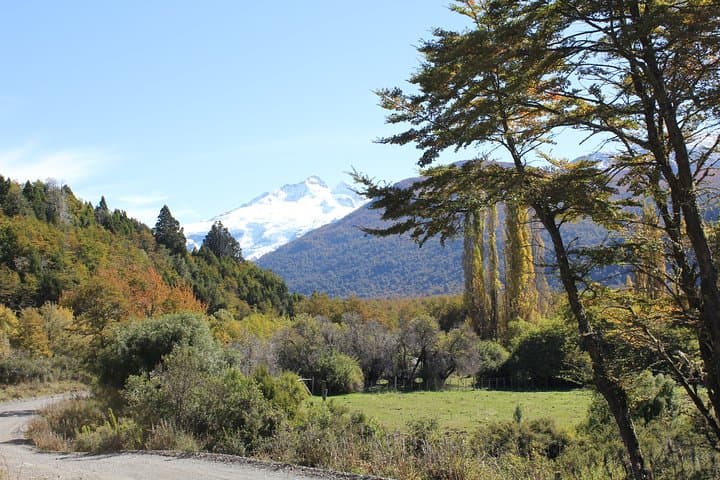 Cerro Tronador Day Trip from Bariloche: Ventisquero Negro & Pampa Linda Hike photo 5