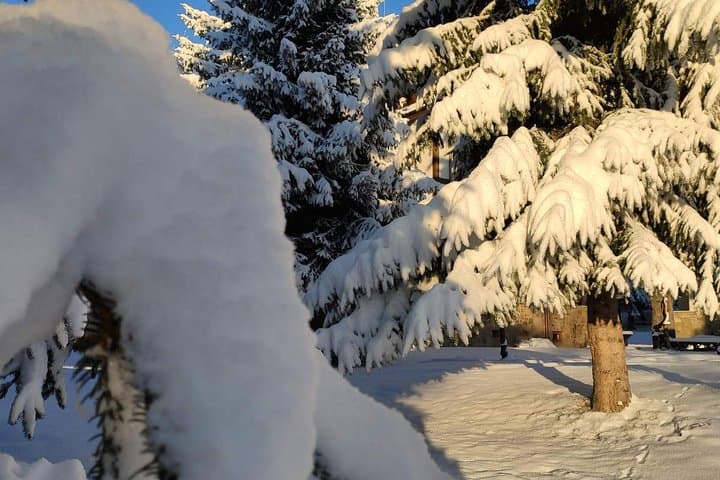 Private Snowshoeing on Vitosha: Full-Day Winter Trek from Sofia
