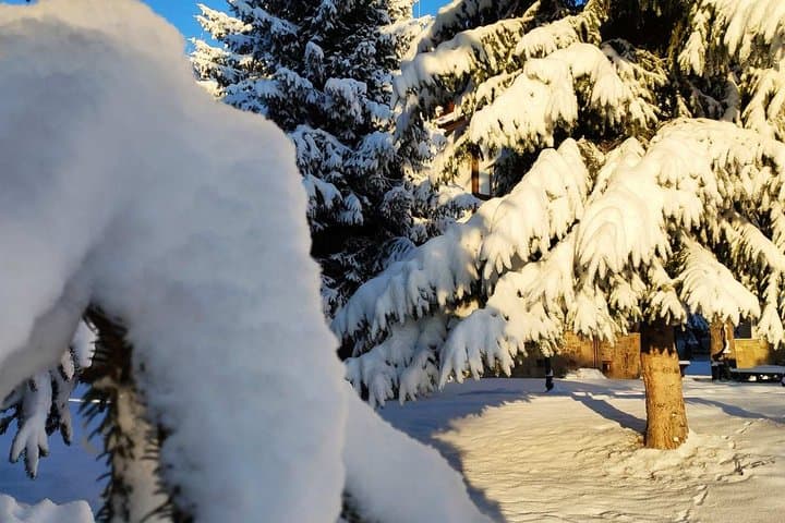 Private 2-Day Snowshoeing in Vitosha: Guided Winter Trek from Sofia photo 4