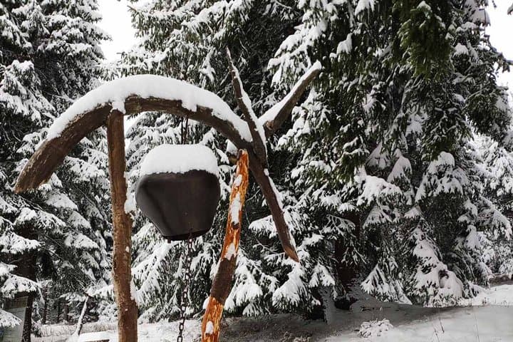 Private Snowshoeing on Vitosha: Full-Day Winter Trek from Sofia photo 3