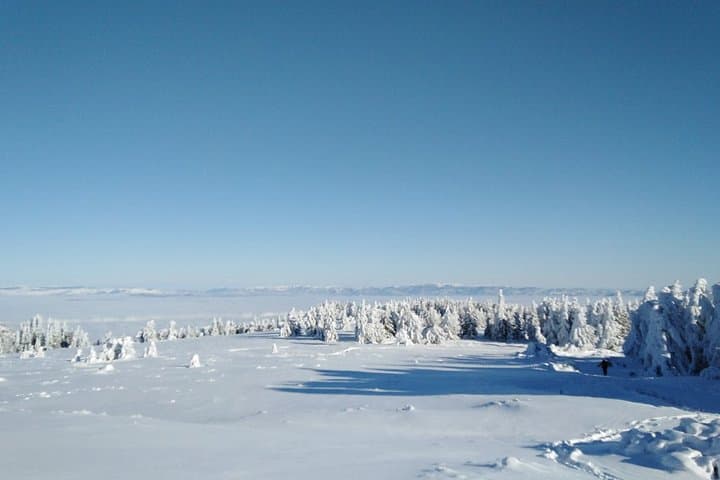 Private Snowshoeing on Vitosha: Full-Day Winter Trek from Sofia photo 5