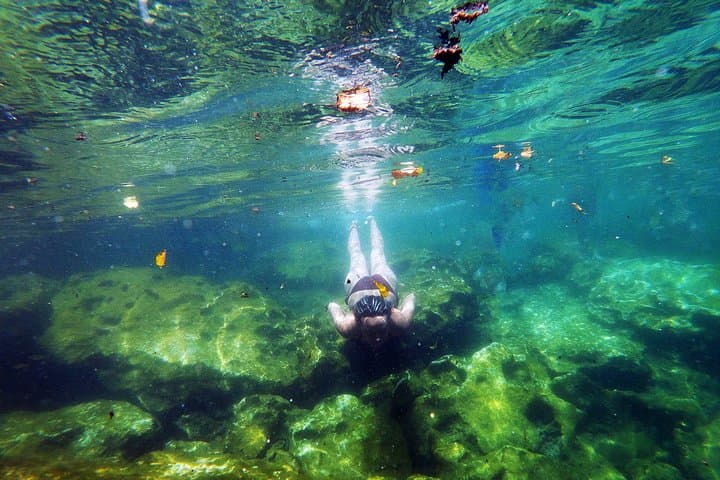 Chichen Itza Tour: Explore El Castillo, Cenotes & Valladolid in a Day photo 6
