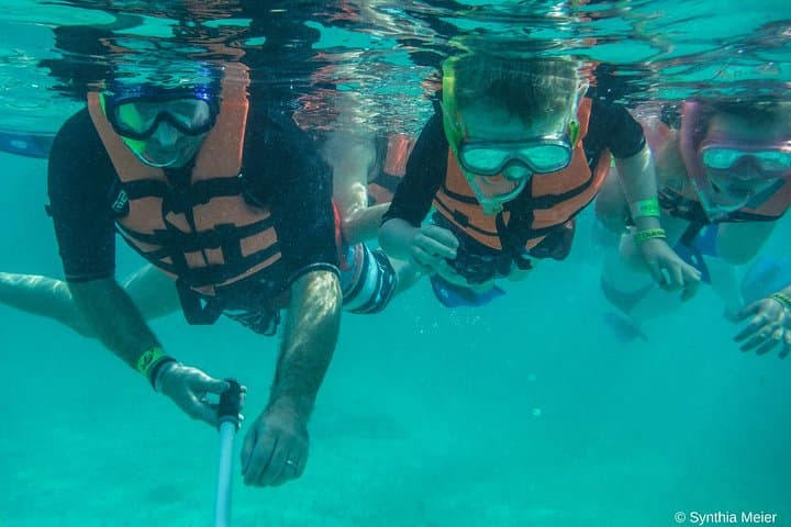Swim with Marine Turtles in Cancun: Private Snorkel Tour on the Mesoamerican Reef photo 2