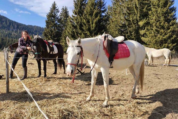 Horse Riding in Bulgaria's Valley of Roses — Thracian Spirit Guided Treks photo 6