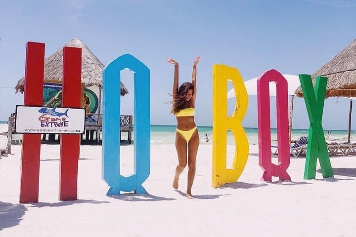 Isla Holbox Birdwatching Boat Tour from Chiquilá