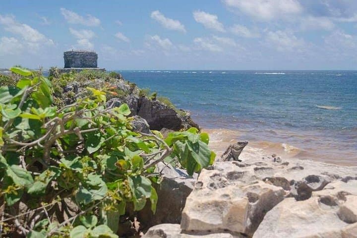 Tulum and Coba Private Tour: Ruins, Nohoch Mul Pyramid & Cenote Snorkeling photo 2