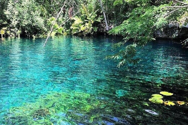 Tulum and Coba Private Tour: Ruins, Nohoch Mul Pyramid & Cenote Snorkeling photo 4