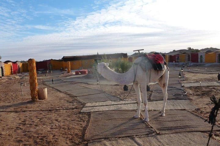 2-Day Moroccan Desert Tour: Atlas Mountains, Zagora & Sahara Camp photo 5