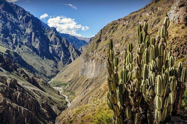 3-Day Colca Canyon Trek from Arequipa — Condors, Oasis Pools & Andean Trails photo 4