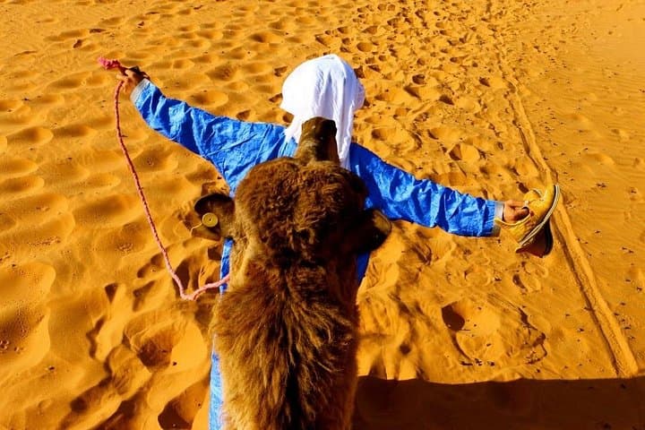 2-Day Camel Trekking in Merzouba: Luxury Camp, Dunes & Nomad Culture photo 1