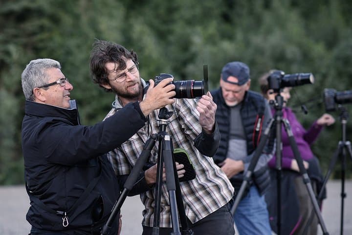 Denali Photo Excursion: Small-Group Photography Tour in Denali National Park