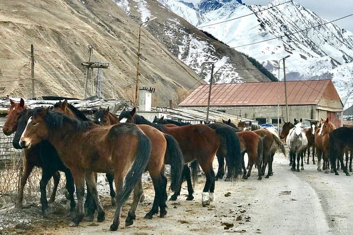 2-Day Private Kazbegi & Juta Trek to Chaukhi Glacier from Tbilisi photo 3