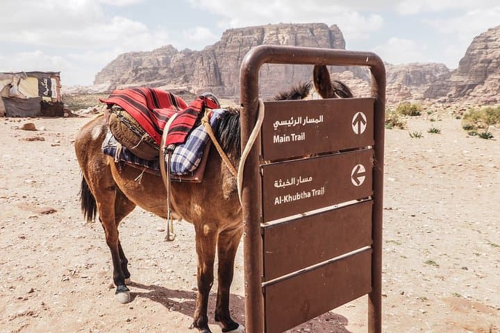 Al Khubtha Trail: Guided Hike Above Petra’s Treasury photo 6