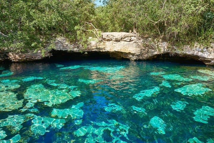 Tulum Ruins and Cenote Express: Archaeological Site Visit + Sacred Cenote Swim photo 2