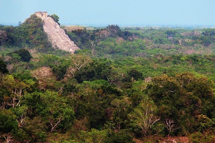 Private Coba and Tulum Day Tour from Cancun — Climb Coba's Pyramid & Coastal Ruins photo 2