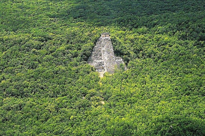 Private Coba and Tulum Day Tour from Cancun — Climb Coba's Pyramid & Coastal Ruins photo 3