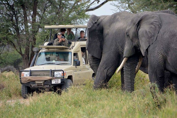 4-Day Camping Safari in Tanzania: Lake Manyara, Serengeti & Ngorongoro Crater