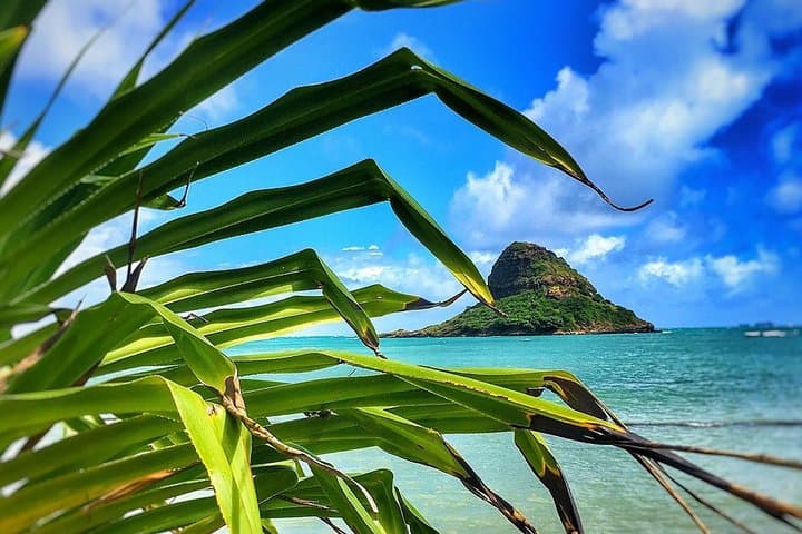 Oahu Circle-Island Jeep Tour: 8-Hour Waikiki to North Shore Highlights photo 6
