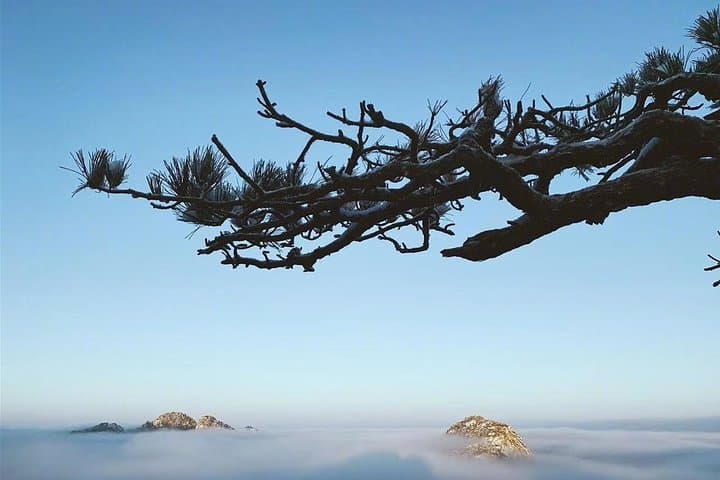 Hike Mt. Huangshan and Stroll Tunxi Ancient Street: 3-Day Private Tour Guide photo 4