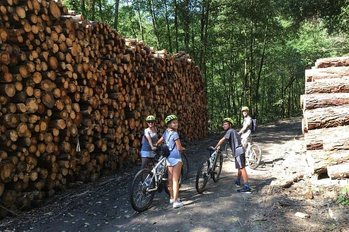 Train Track Trail Mountain Bike Ride — 25km Basque Forest Escape from San Sebastián photo 2