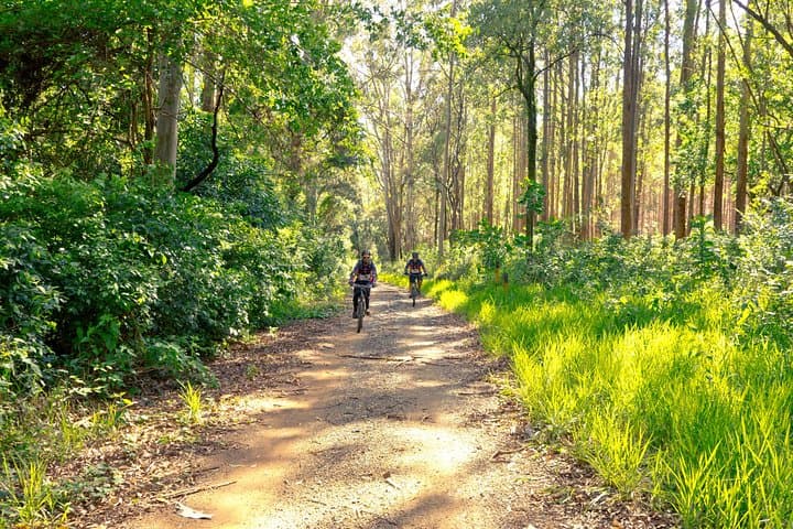 Train Track Trail Mountain Bike Ride — 25km Basque Forest Escape from San Sebastián