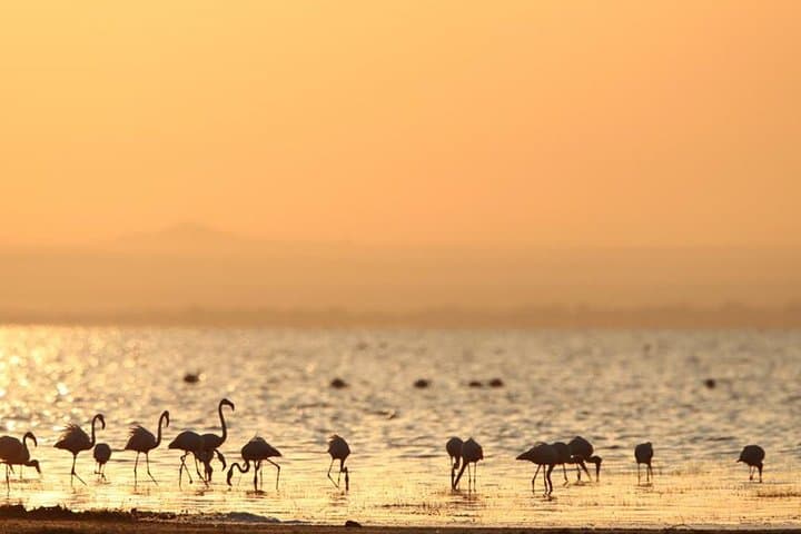 Northern Tanzania Safari: Tarangire, Serengeti & Ngorongoro 5-Day Camping Adventure photo 2