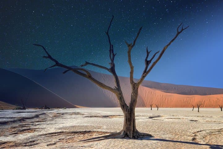 Coast to Coast Namibia: 9-Day Photography Tour from Windhoek to the Atlantic