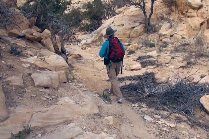 Beidha Neolithic Village Trail — Little Petra Guided Hike from Petra photo 3