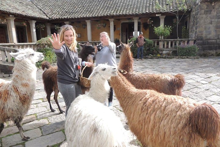 Cotopaxi Day Trip: Volcano Views, Páramo Hikes & Inca Hacienda Lunch