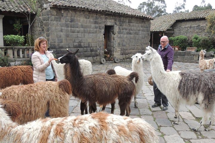 Cotopaxi Day Trip: Volcano Views, Páramo Hikes & Inca Hacienda Lunch photo 5