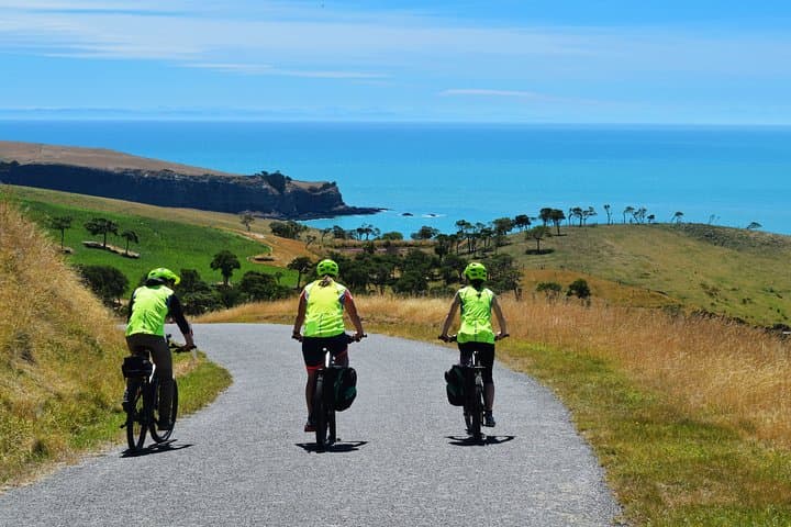 Electric Mountain Bike and Sea Kayak Tour in Akaroa — Crater-Rim Rides & Marine Reserve Paddles photo 5