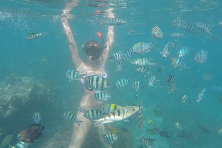 Bali Blue Lagoon Snorkeling — Padangbai's Vibrant Coral Reefs photo 3