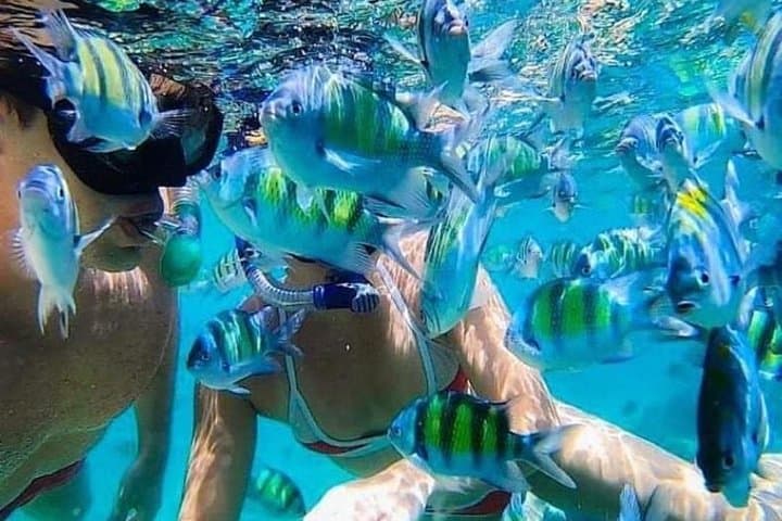 Bali Blue Lagoon Snorkeling — Padangbai's Vibrant Coral Reefs