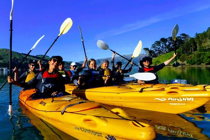Electric Mountain Bike and Sea Kayak Tour in Akaroa — Crater-Rim Rides & Marine Reserve Paddles photo 2