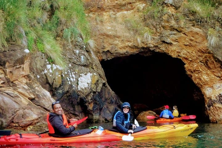 Electric Mountain Bike and Sea Kayak Tour in Akaroa — Crater-Rim Rides & Marine Reserve Paddles photo 3