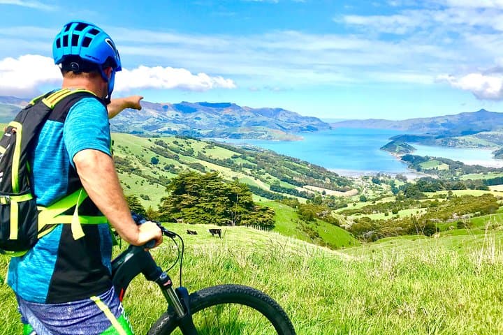Electric Mountain Bike and Sea Kayak Tour in Akaroa — Crater-Rim Rides & Marine Reserve Paddles photo 4