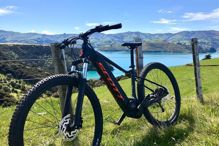 Electric Mountain Bike and Sea Kayak Tour in Akaroa — Crater-Rim Rides & Marine Reserve Paddles photo 6
