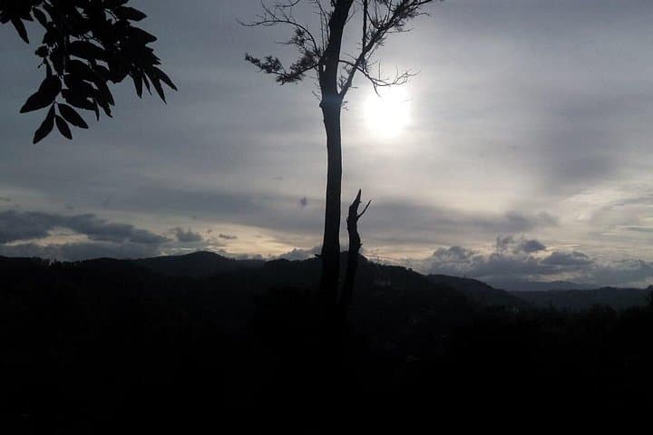 Little Adam’s Peak & Nine Arch Bridge: Morning Hike from Ella photo 4