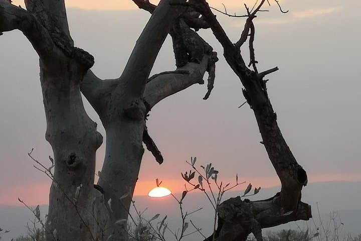 Kruger Sunset Safari: Evening Game Drive from Phabeni Gate photo 3