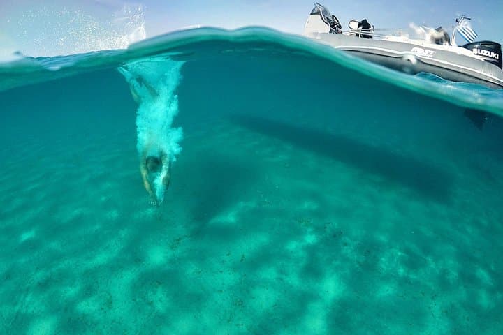 Private Day Cruise from Paros to Dragonissi and Mykonos South Coast photo 4
