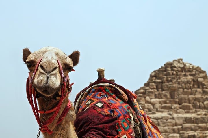 Agafay Desert Camel Ride: Half-Day Camel Trek from Marrakech to Lake Takerkoust photo 6