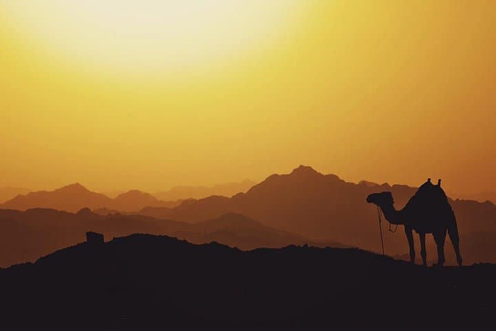 Agafay Desert Sunset Camel Ride & Dinner — Half-Day Trip from Marrakech photo 2
