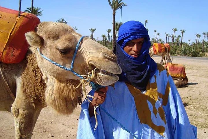 Sunset Camel Ride in Marrakech's Palmeraie: 45-Minute Camel Trek & Berber Tea photo 2