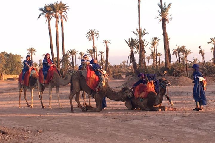 Sunset Camel Ride in Marrakech’s Palmeraie Oasis: Camel Trek, Berber Tea & Sunset Views photo 4