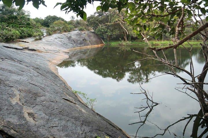 Anuradhapura to Thanthirimale: Full-Day Heritage Tour of Ancient Sri Lanka photo 2