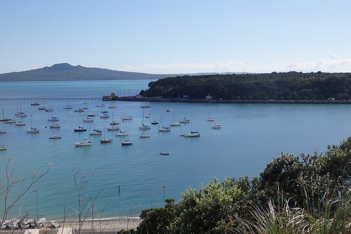 Auckland Scenic Day Tour: Full-Day Highlights of City, Coast, Volcanoes and Wine photo 6