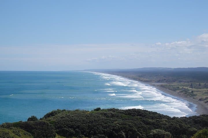 Auckland Scenic Day Tour: Full-Day Highlights of City, Coast, Volcanoes and Wine photo 3